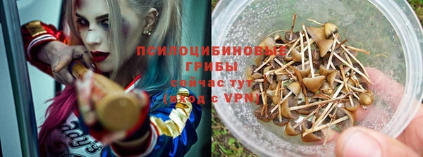 эйфоретик Алексин