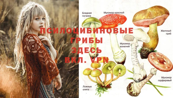 амф Алзамай