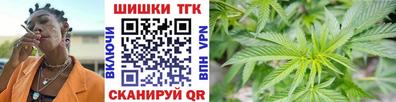 как найти наркотики Северская Шишки марихуана конопля